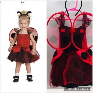 Ladybug child’s costume 4-6x Halloween playtime